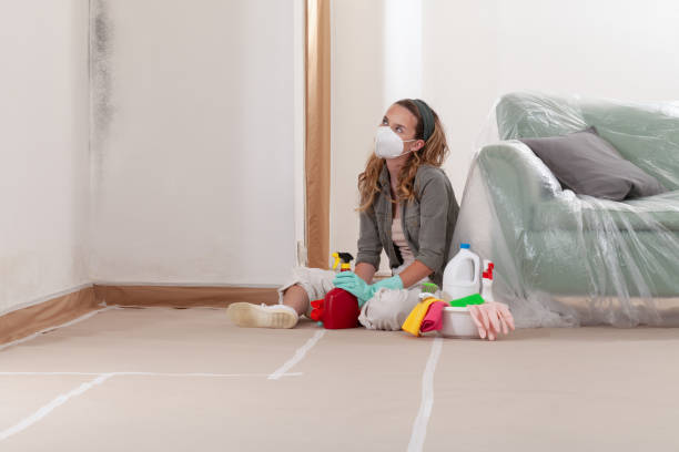 Reliable Mold Remediation contractor in Richland, WA by WQB Mold Removal